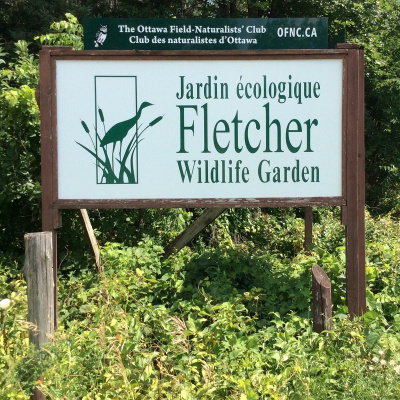 Visite guidée au Jardin écologique Fletcher - EN PRÉSENTIEL