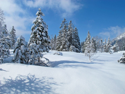 FORFAIT HIVERNAL DANS LES LAURENTIDES - EN PRÉSENTIEL