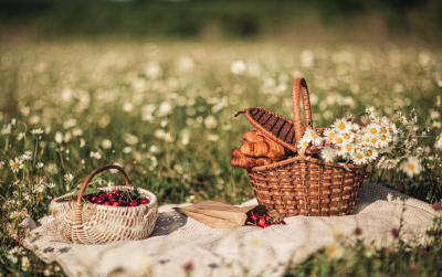 Célébrons l’été! – Pique-nique annuel de REA – EN PRÉSENTIEL