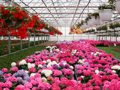 Visite << Les Serres Quenneville >> &ndash; EN PR&Eacute;SENTIEL