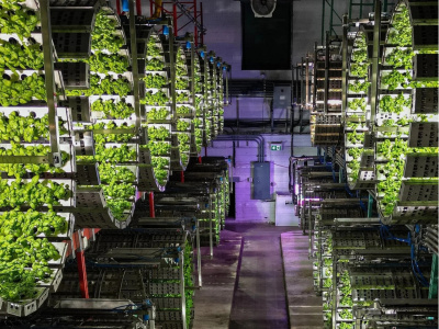 Visite-Ferme Marseni