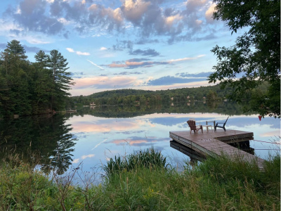 Visite-Le r&eacute;veil de la faune nocturne
