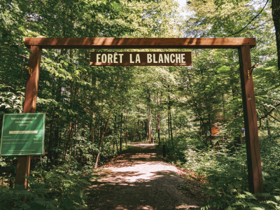 Visite guid&eacute;e de For&ecirc;t-la-Blanche